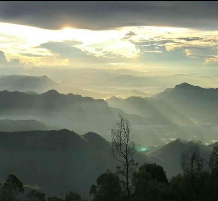 Praveen'S Wood House Kodaikanal Vattakanal 外观 照片