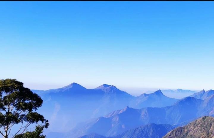 Praveen'S Wood House Kodaikanal Vattakanal 外观 照片